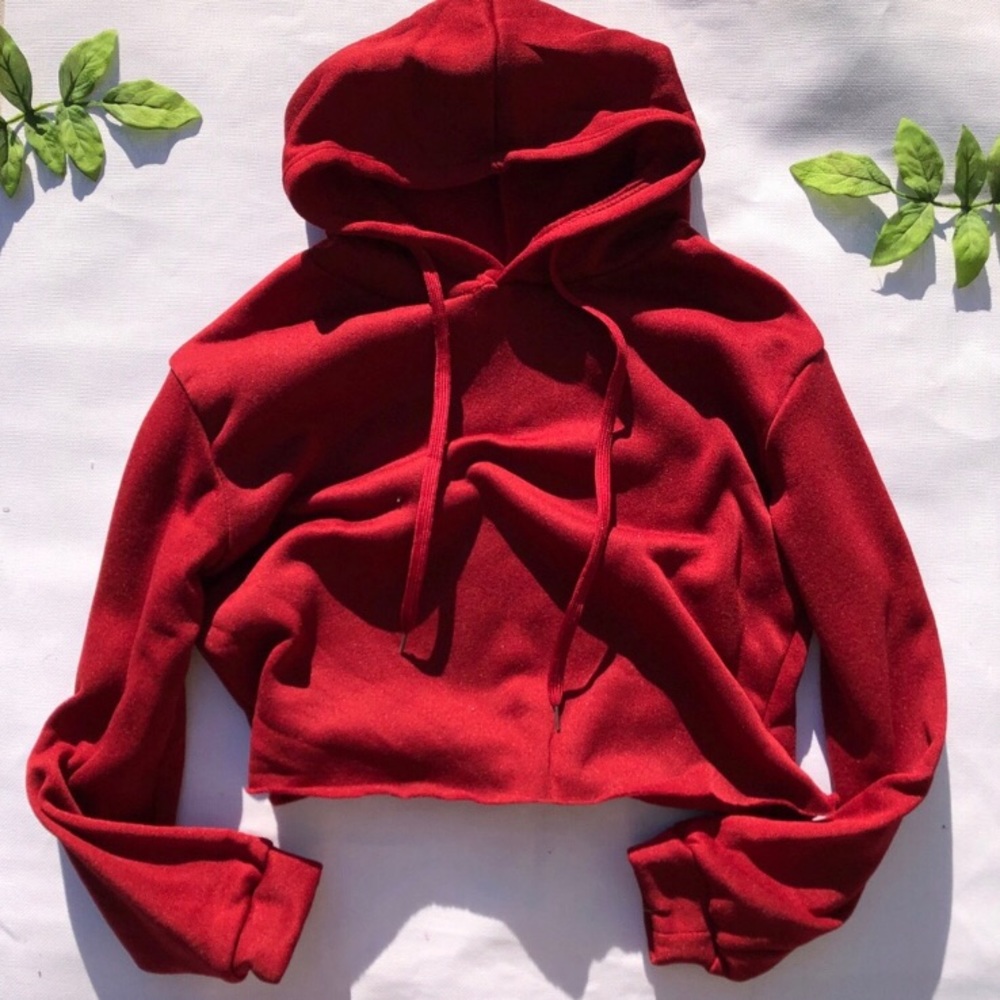 ｃｒｏｐ  ｈｏｏｄｉｅ - Picture 2 of 3